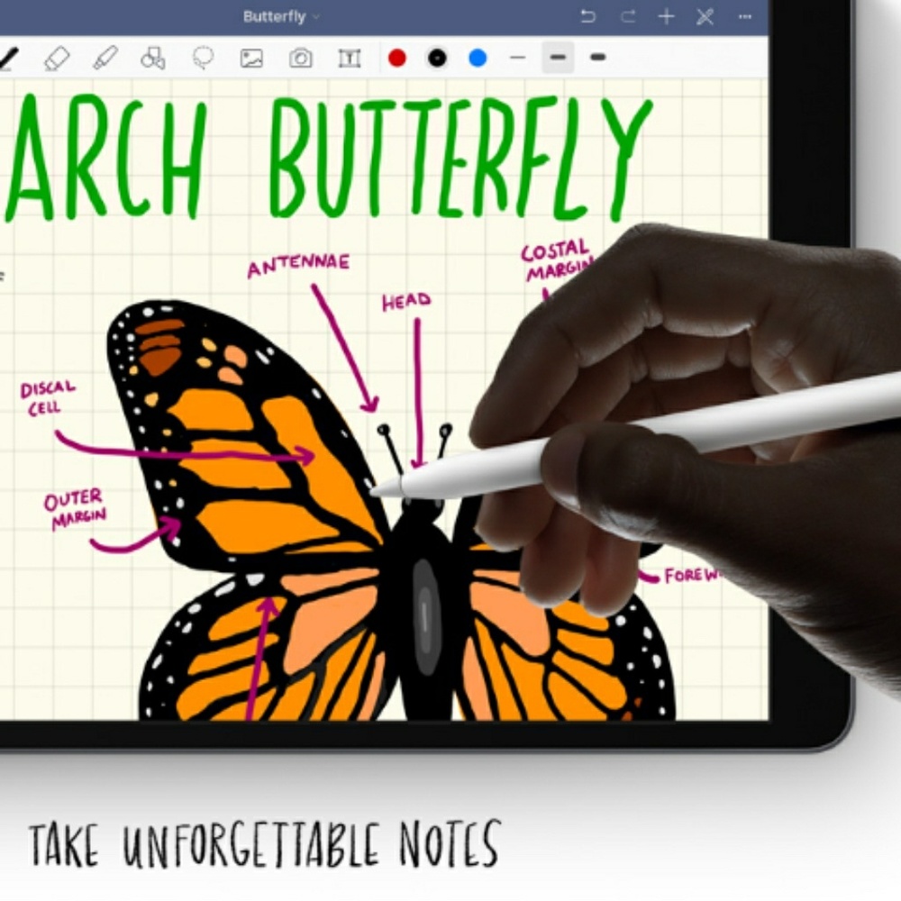 The IPAD AIR - Picture 7 of 8